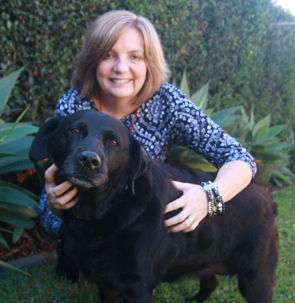 HELPING HAND: The Animal Protection Association of Australia is calling for more carers to temporarily accommodate homeless dogs. HELPING HAND: The Animal Protection Association of Australia is calling for more carers to temporarily accommodate homeless dogs.
